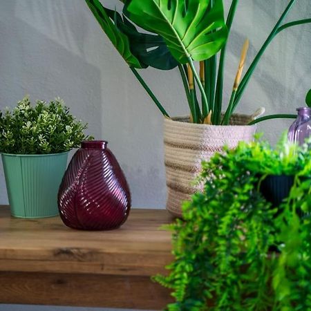 Charmant T2 Proche Place Aux Herbes ユゼ エクステリア 写真
