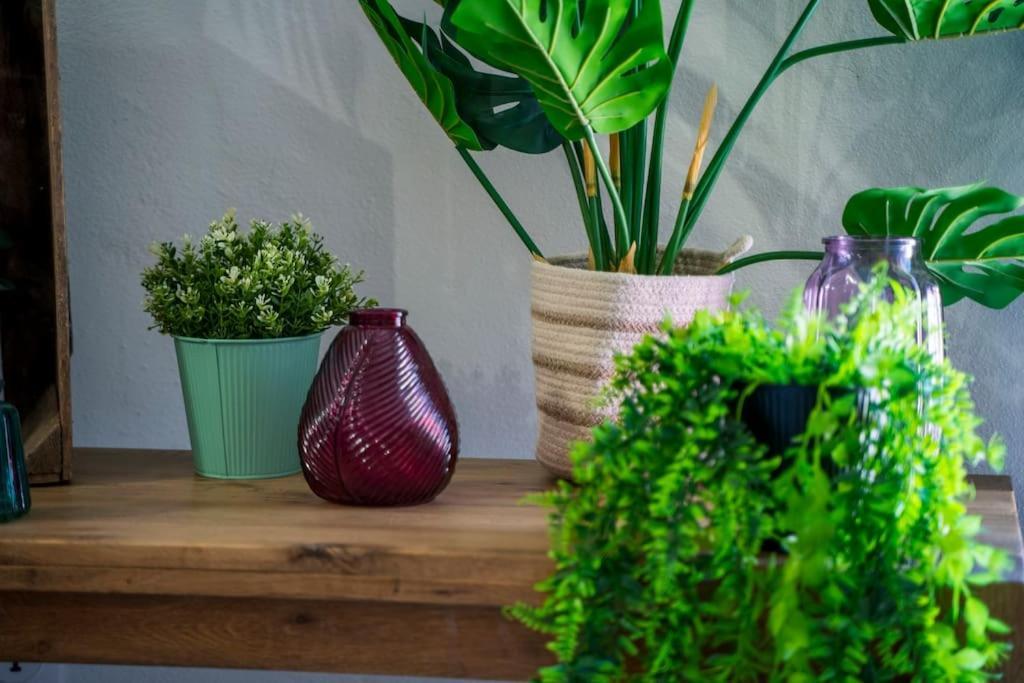 Charmant T2 Proche Place Aux Herbes ユゼ エクステリア 写真