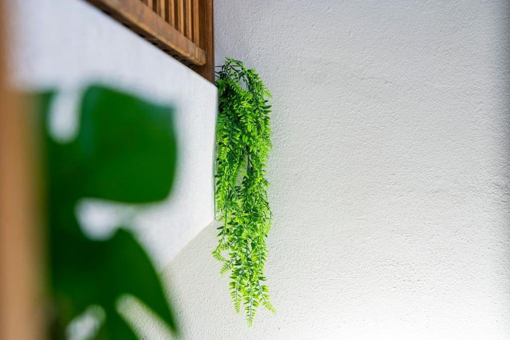 Charmant T2 Proche Place Aux Herbes ユゼ エクステリア 写真